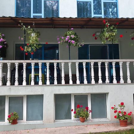 Casa Albastra Hotel Drumu Carului Luaran gambar