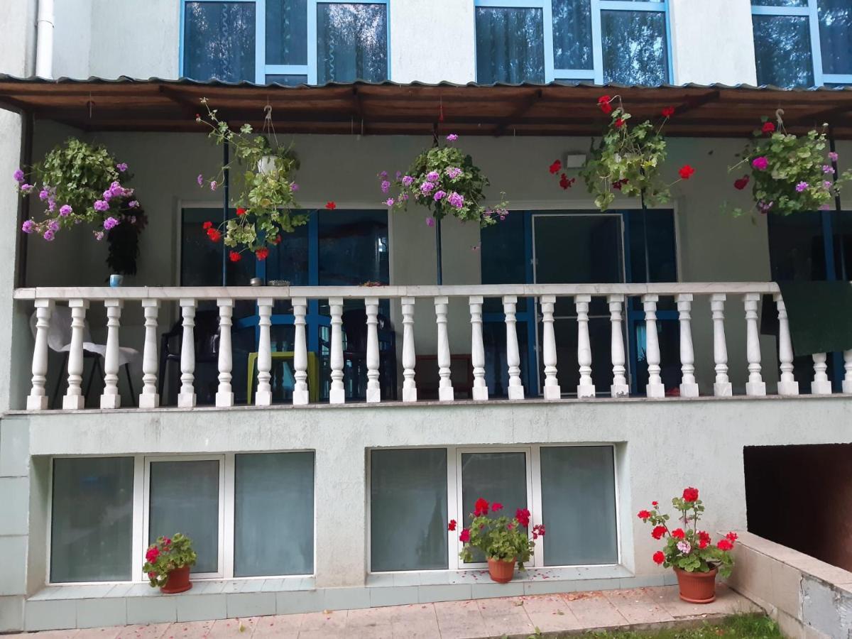 Casa Albastra Hotel Drumu Carului Luaran gambar