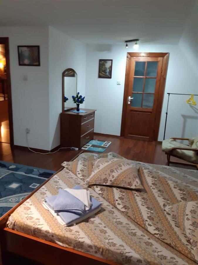 Casa Albastra Hotel Drumu Carului Luaran gambar