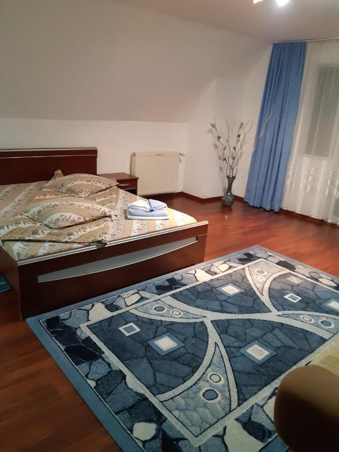 Casa Albastra Hotel Drumu Carului Luaran gambar