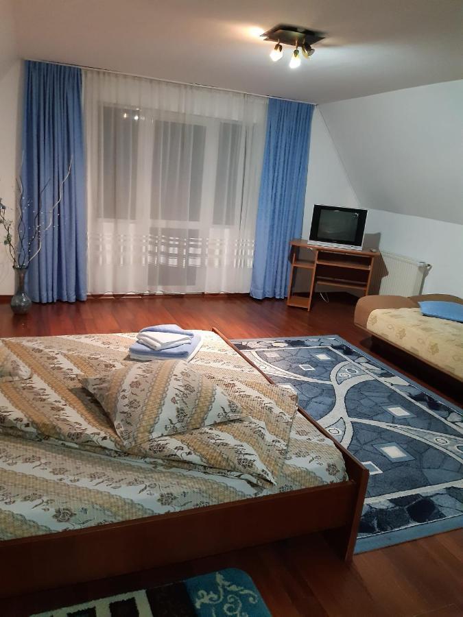 Casa Albastra Hotel Drumu Carului Luaran gambar