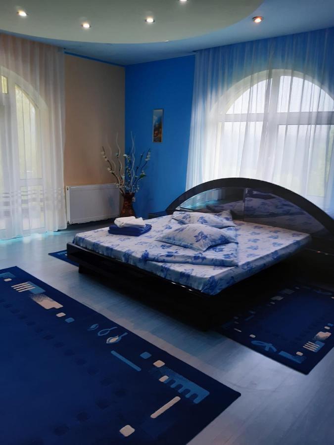 Casa Albastra Hotel Drumu Carului Luaran gambar