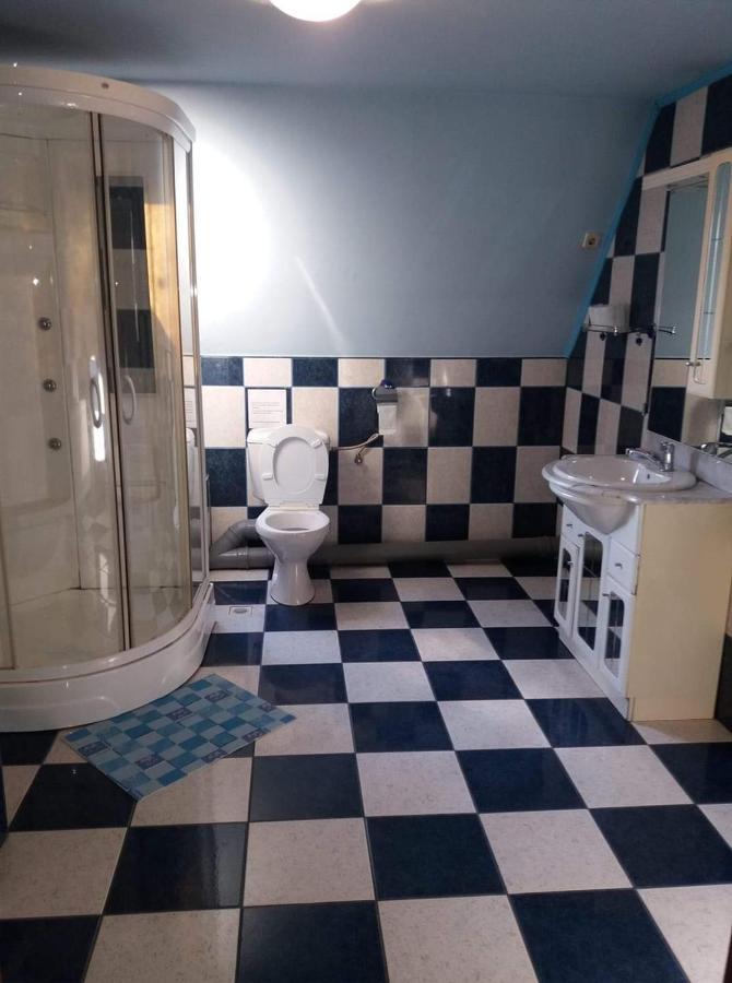 Casa Albastra Hotel Drumu Carului Luaran gambar