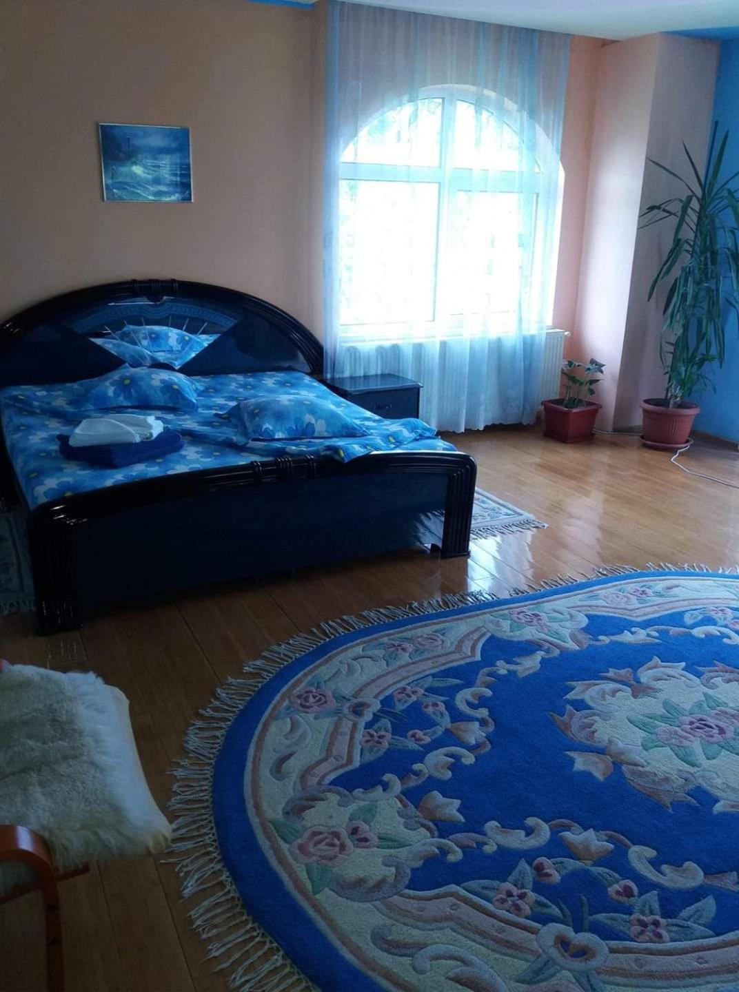 Casa Albastra Hotel Drumu Carului Bilik gambar